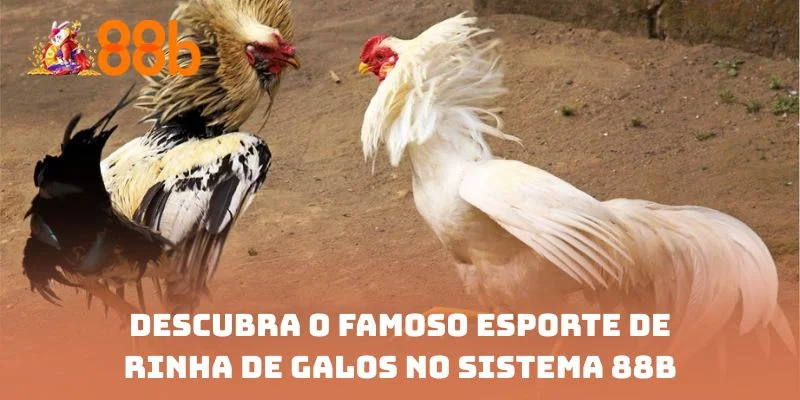 Descubra o famoso esporte de rinha de galos no sistema 88B